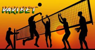 Volleyball Positions of Players